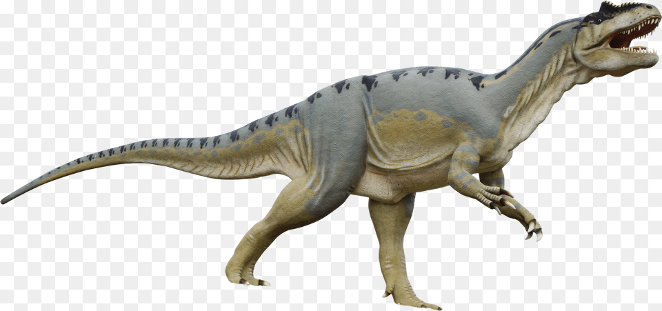 Dinosaur Image For Animatronic Dinosaurs, Animal, Reptile, T-rex Free Png Download