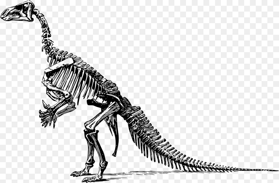 Dinosaurs Didn T Read Now They Are Extinct, Gray Free Png Download