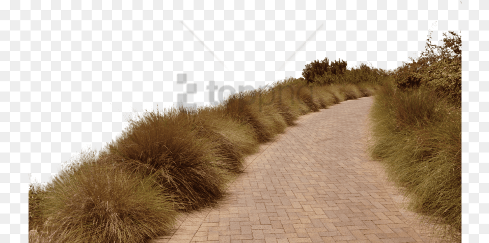 Download Dirt Road Images Background Photoshop Stock, Path, Flagstone, Walkway, Cobblestone Png