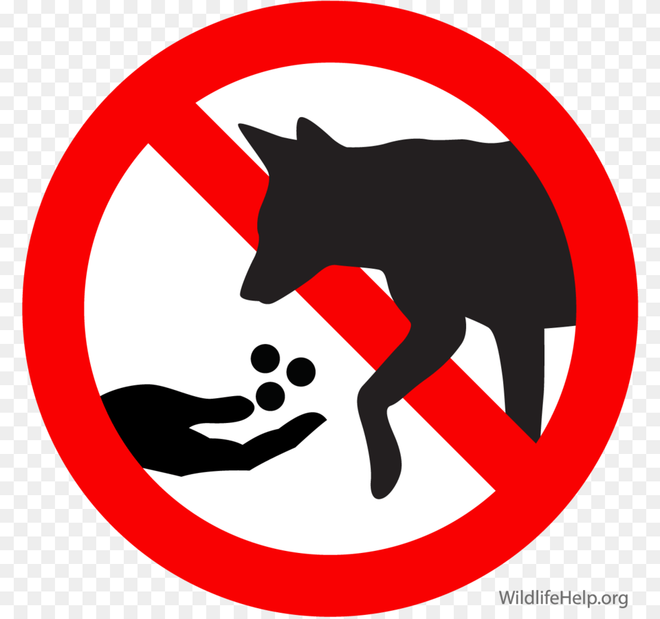 Download Do Not Feed Dog Clipart Coyote German Shepherd Puppy, Sign, Symbol, Road Sign Png