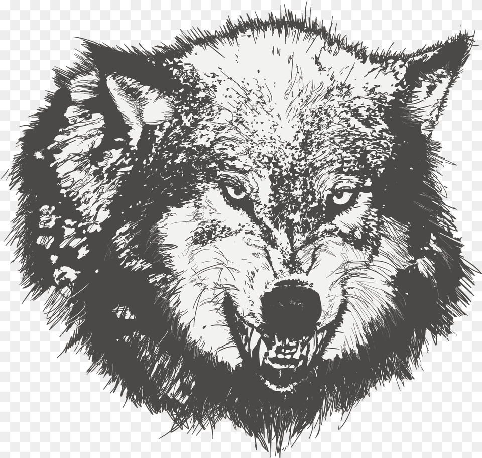 Download Dog Drawing Black Wolf Sketch Drawing Angry Wolf Face, Animal, Mammal, Canine, Pet Png Image