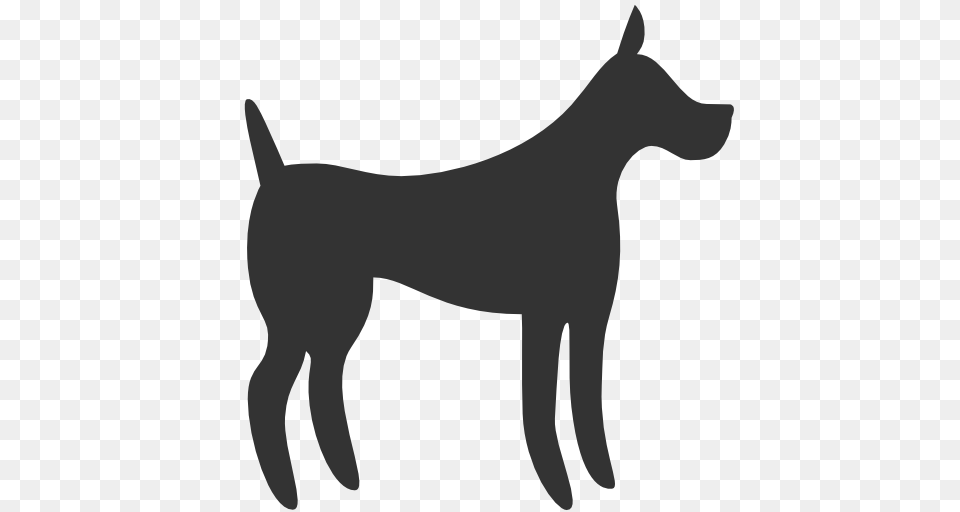 Download Dog Icon, Silhouette, Stencil, Animal, Kangaroo Free Transparent Png