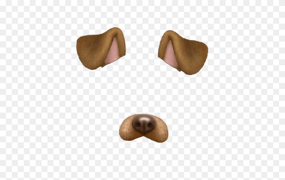 Dog Puppy Snapchat Cat We Heart It Snapchat Dog Snapchat Dog Filter Name, Food, Sweets, Clothing, Hat Free Png Download