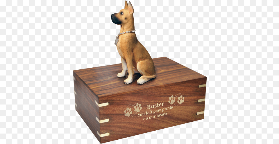 Dog Urn For Great Dane Shown Engraved In Gold Dog Dog Breed, Box, Animal, Canine, Mammal Free Png Download