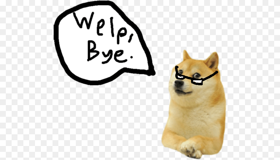 Doge Doge Meme, Animal, Canine, Dog, Pet Free Png Download