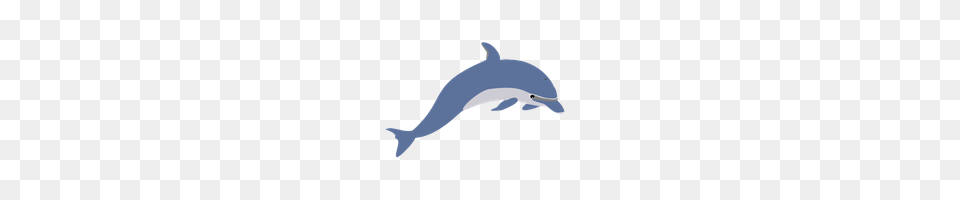 Download Dolphin Photo And Clipart Freepngimg, Animal, Mammal, Sea Life, Appliance Free Png