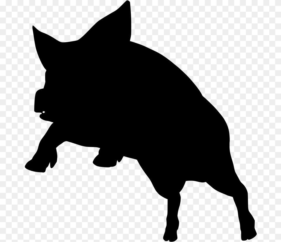 Domestic Pig, Gray Free Png Download