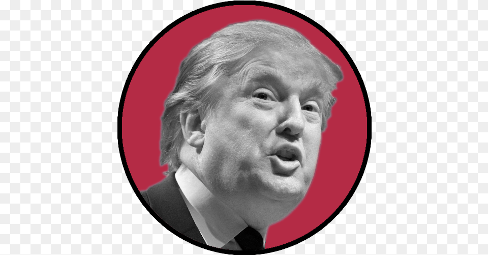 Download Donald Trump 1543 Trump In A Circle Full Illustration, Male, Adult, Portrait, Face Png