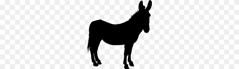 Download Donkey Silhouettes Clipart Pace For The Donkeys Trail, Gray Free Transparent Png