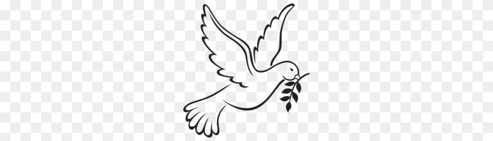 Download Dove Symbol Of Peace Clipart Pigeons And Doves Doves As, Silhouette Free Transparent Png