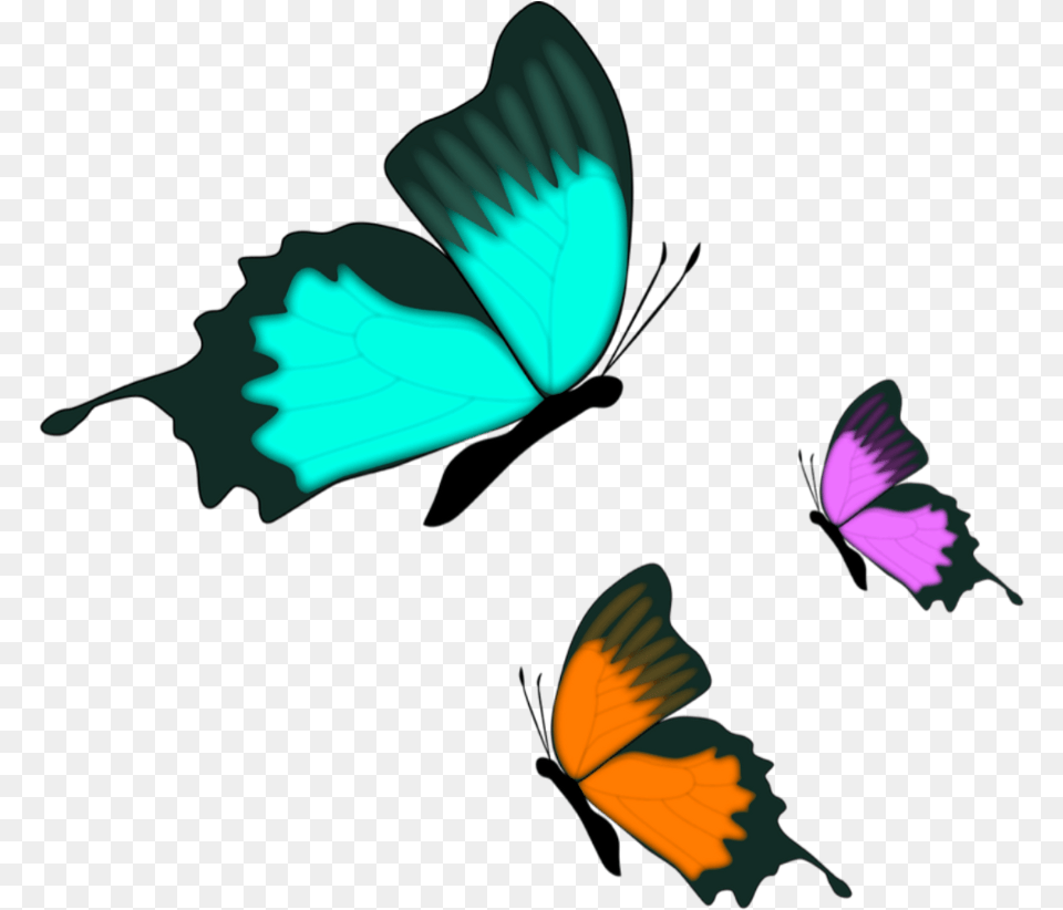 Download Download Farfalle, Purple, Animal, Bird, Butterfly Png