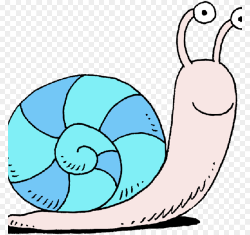 Download Download Snail Clipart, Animal, Invertebrate Png