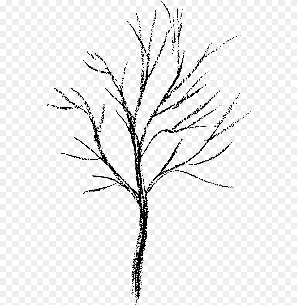 Download Download Twig, Gray Free Png