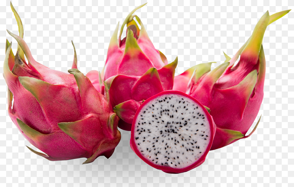 Dragon Fruit Pitaya, Food, Plant, Produce, Flower Free Png Download