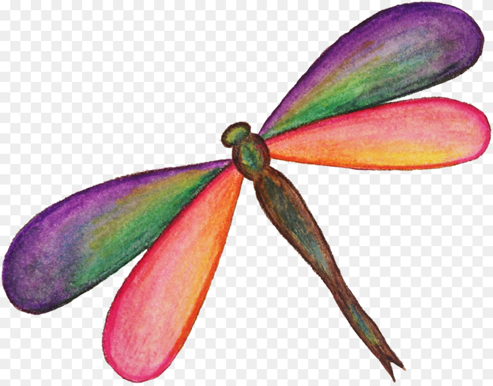 Download Dragonfly Hd Portable Network Graphics, Animal, Insect, Invertebrate Png