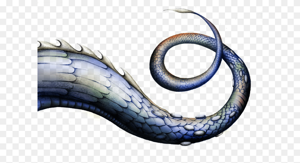 Dragontail Sgsword Cyo Dragon Tail, Animal, Reptile, Snake, Pattern Free Png Download