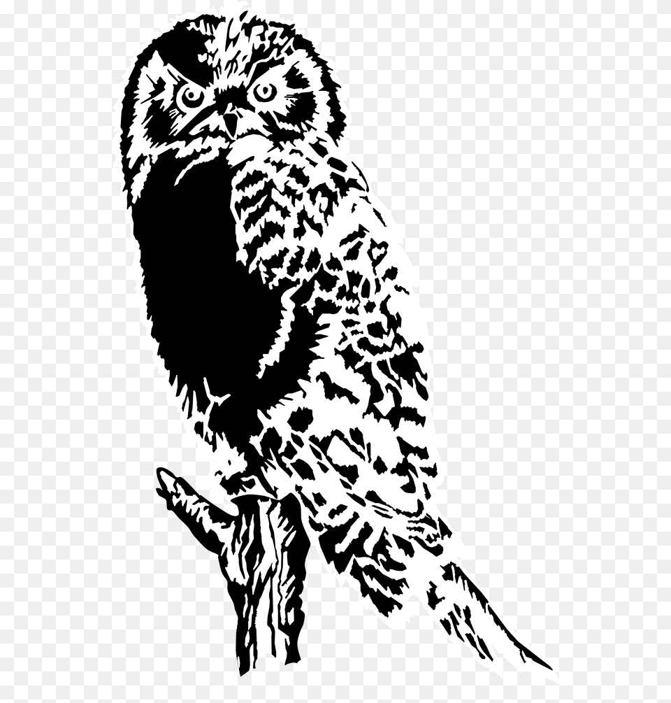 Download Drawing Of Owl Black White Black And White Owl Clipart Background, Stencil, Person, Art Free Transparent Png
