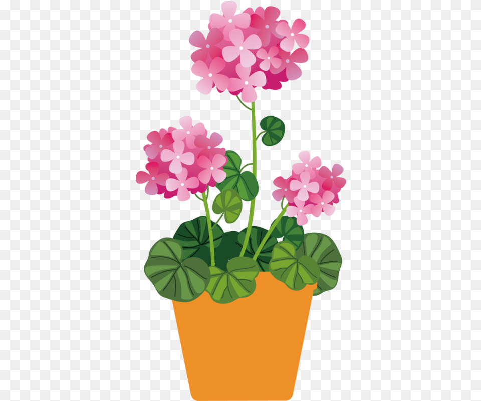 Download E2576a88 Pink Flowers Pot Clipart Full Size Flower Pot Clipart, Geranium, Plant Free Transparent Png