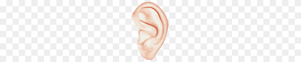 Download Ear Free Photo And Clipart Freepngimg, Body Part, Baby, Person Png Image