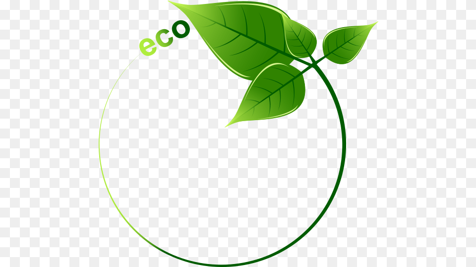 Download Eco Leaves Surrounded Green Facebook By Icon Hq Creative Eco Friendly Logo, Leaf, Plant, Vine Png Image