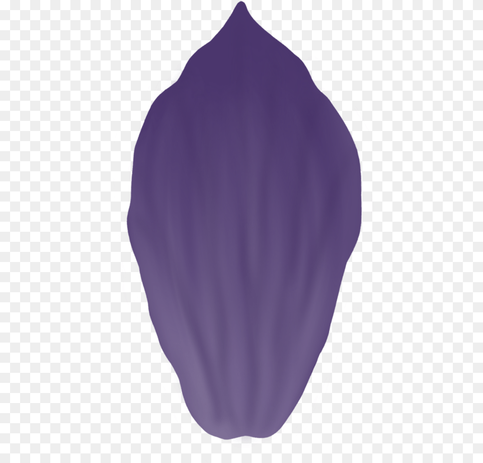 Eggplant Image With No Background Beanie, Purple, Plant, Flower, Petal Free Png Download