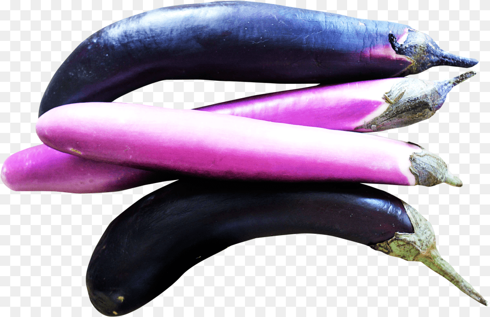 Download Eggplants Image For Free Plante Aubergine Clipart Transparent, Food, Produce, Eggplant, Plant Png