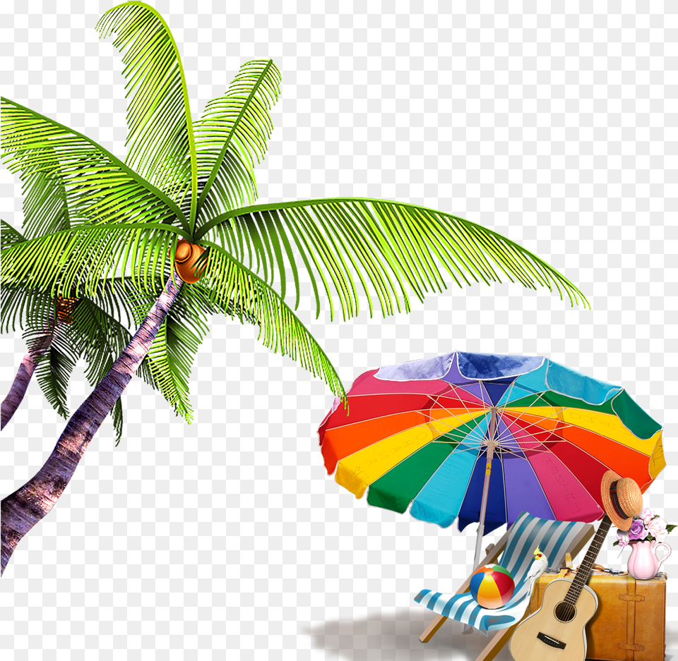 Elements Summer Computer Beach File Coconut Tree, Plant, Canopy, Musical Instrument, Guitar Free Png Download
