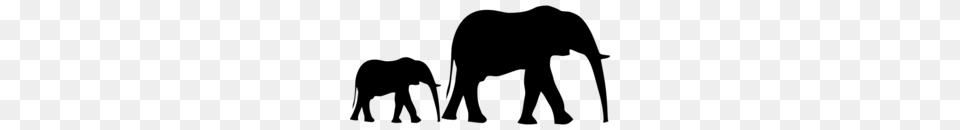 Download Elephant Clipart Asian Elephant Elephants, Gray Free Transparent Png