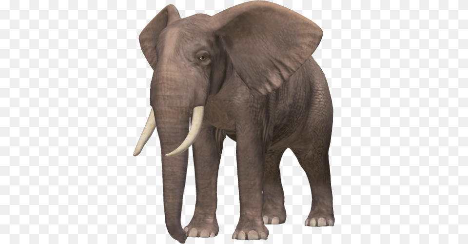 Download Elephene, Animal, Elephant, Mammal, Wildlife Png