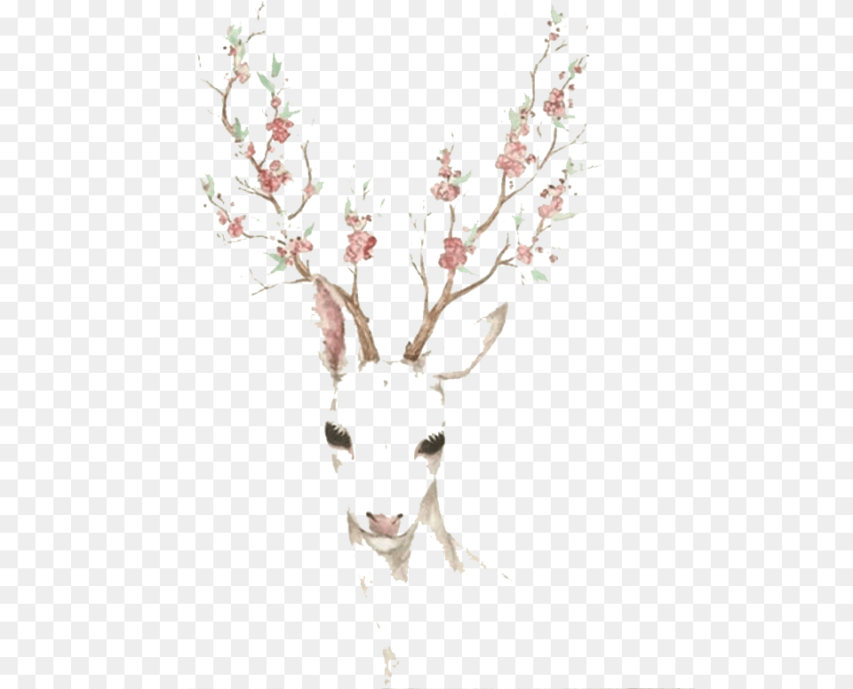 Download Elk Blossom Cherry Deer Deer With Flower Antlers Drawing, Animal, Mammal, Wildlife, Art Png