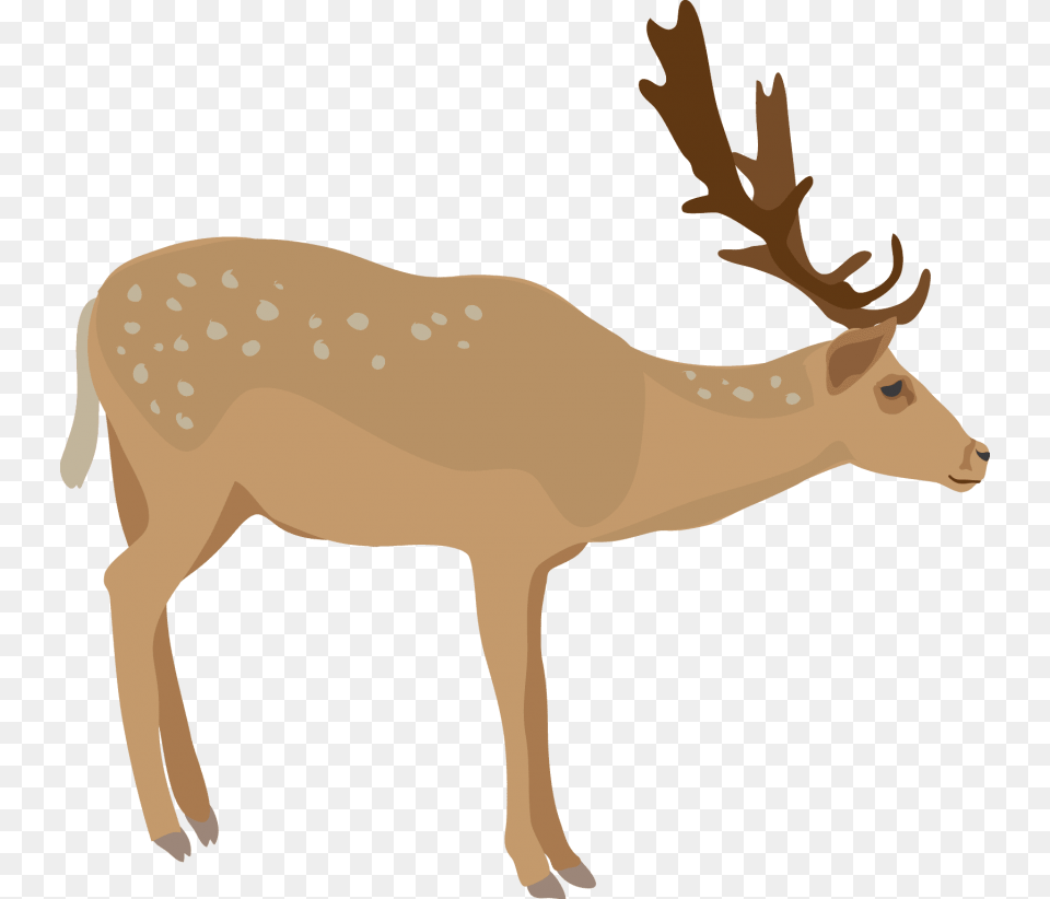 Download Elk Images Background Elk, Animal, Deer, Mammal, Wildlife Png Image
