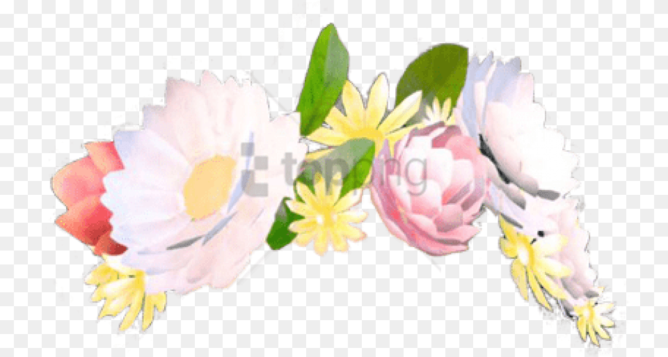 Download Emoji De Los Monitos Image With Corona De Flores Filtro De Snapchat, Petal, Plant, Flower, Daisy Free Png