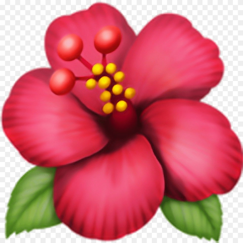 Emoji Flor Adesivo Flower Clip Art Hibiscus Flower Emoji, Plant, Petal, Rose Free Png Download