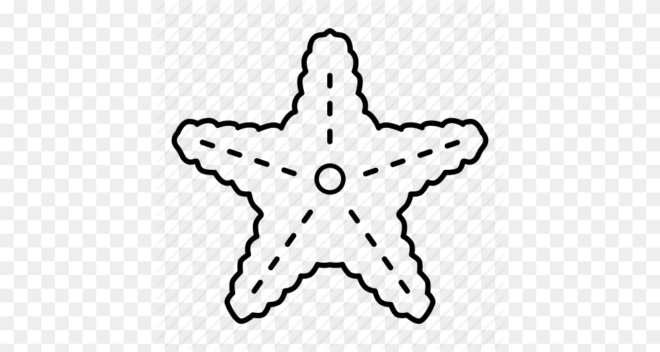 Download Estrella De Mar Para Colorear Clipart Starfish Coloring, Star Symbol, Symbol Png Image