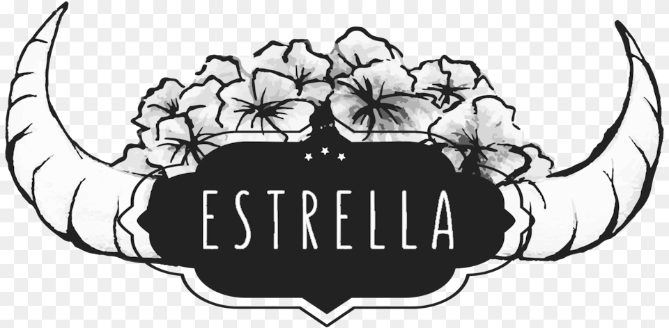 Estrella With No Begonia, Flower, Plant Free Png Download