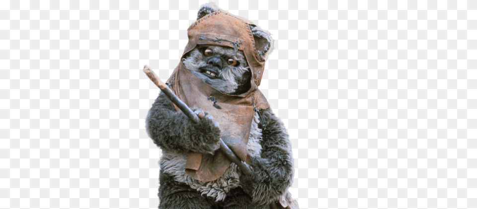 Download Ewok Dumbest Star Wars Characters, Animal, Bear, Mammal, Wildlife Png Image
