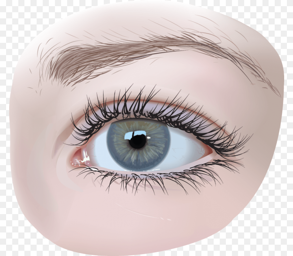 Download Eye Image For Eyes, Baby, Person, Art, Head Png
