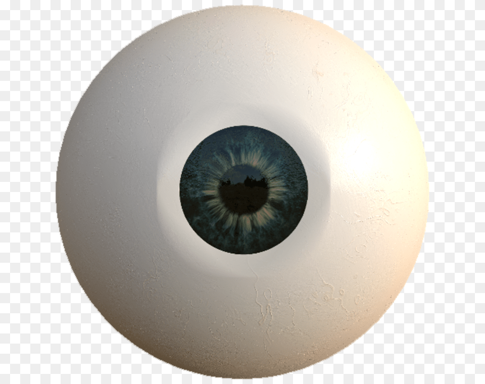 Download Eyeball Circle, Sphere, Hole, Animal, Insect Free Png
