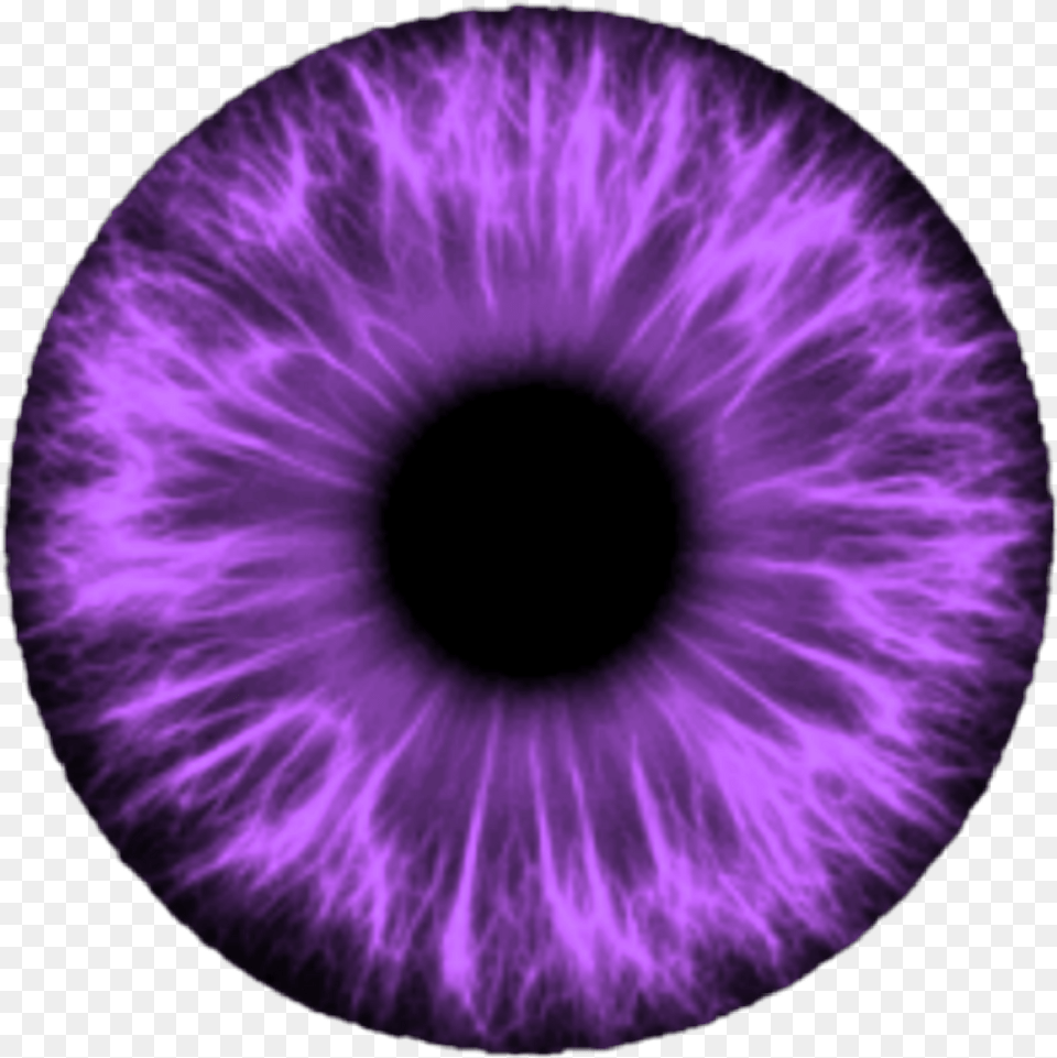 Download Eyeball Sticker Eyes For Editing With Halos Around Lights Glaucoma, Accessories, Purple, Sphere, Ornament Free Transparent Png