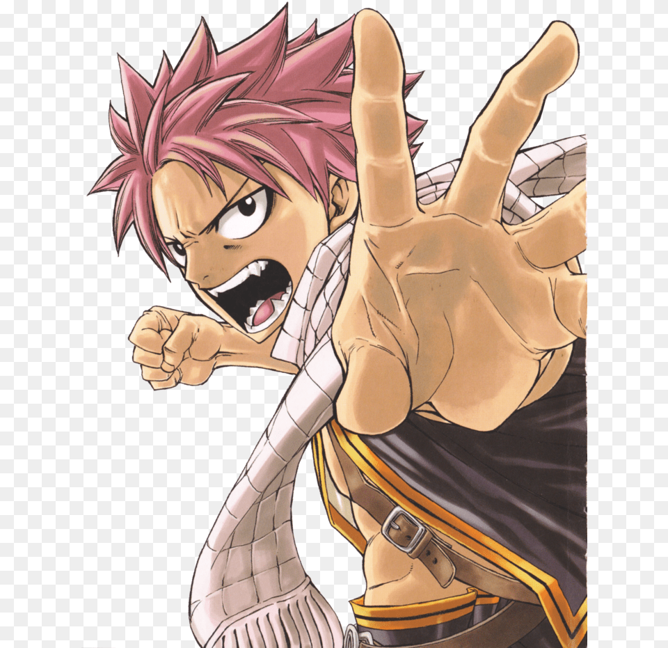 Download Fairy Tail Transparent Background For Designing Natsu Dragneel Dragon Slayer Fairy Tail, Book, Comics, Publication, Person Free Png