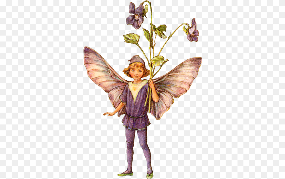 Download Fairytale Transparent Dog Violet Flower Fairy, Person, Angel, Plant, Face Free Png