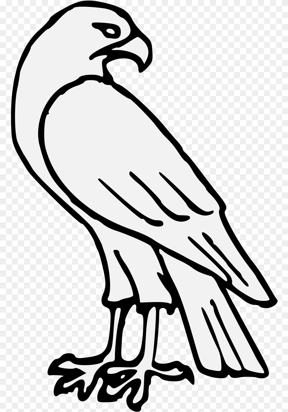 Download Falcon Clip Black And White Easy Easy Hawk Easy Drawing Of A Hawk, Stencil, Animal, Bird, Vulture Free Transparent Png