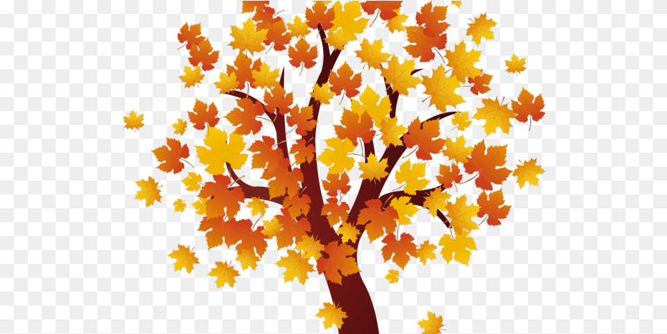 Download Fall Clipart Transparent Background Transparent Autumn Tree Clipart, Leaf, Plant, Maple, Maple Leaf Free Png