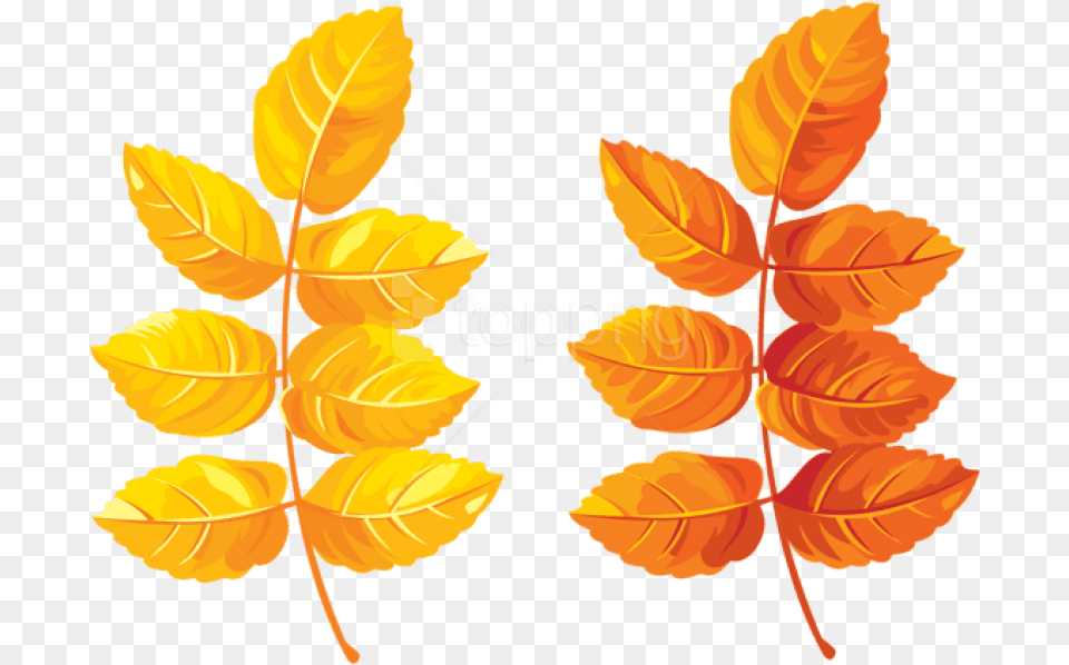 Download Fall Leaves Clipart Photo Yellow Leaves Clipart, Leaf, Plant Png