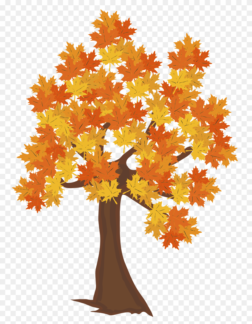 Download Fall Tree Image Autumn Tree Drawing, Leaf, Maple, Plant, Adult Free Transparent Png