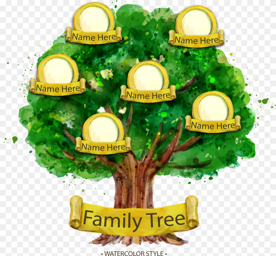 Download Family Tree Genealogy Family Tree In Clipart, Vegetation, Plant, Birthday Cake, Green Free Transparent Png
