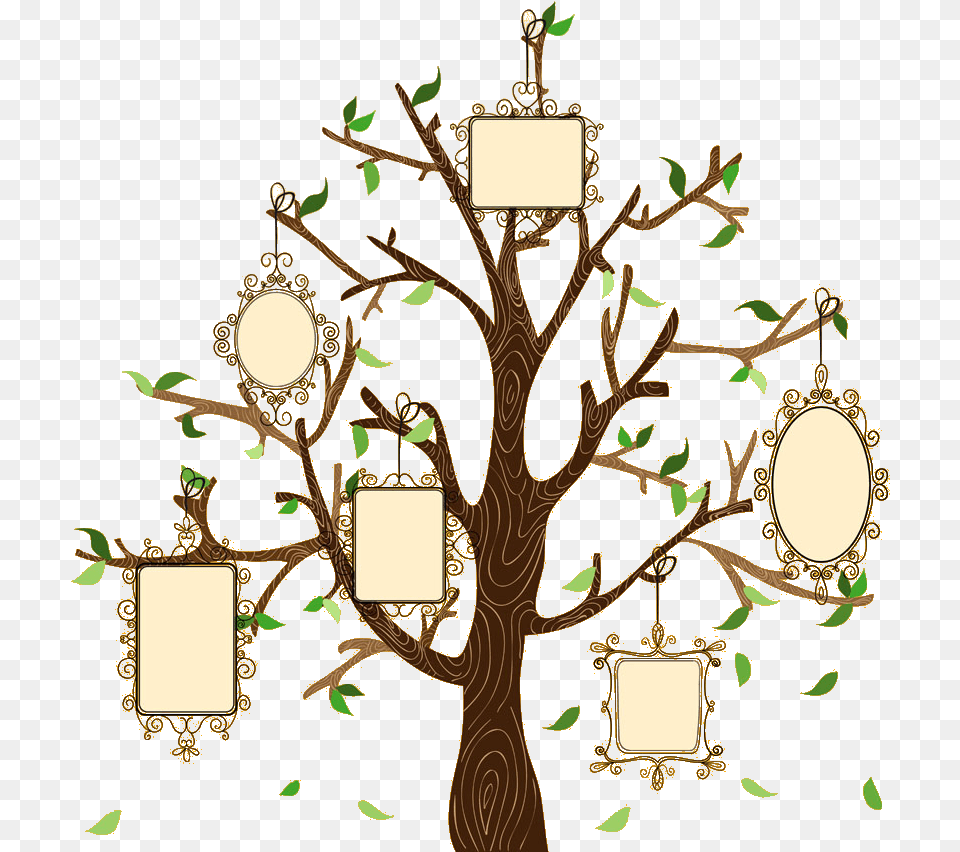 Family Tree Illustration Creative Euclidean Vector Frame For Family Tree, Chandelier, Lamp Free Png Download