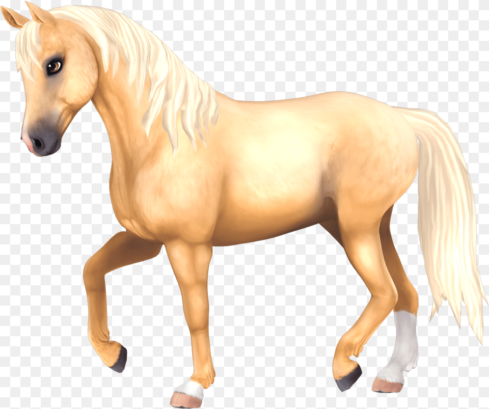 Download Fan Art Resources Star Stable Star Stable Horse, Animal, Colt Horse, Mammal, Stallion Png Image