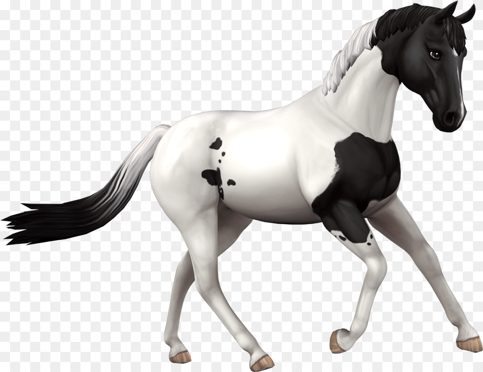 Download Fan Art Resources Star Stable Star Stable Horse, Animal, Mammal, Colt Horse Png
