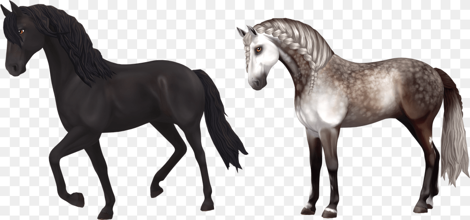 Download Fan Art Star Stable Logo, Andalusian Horse, Animal, Horse, Mammal Png